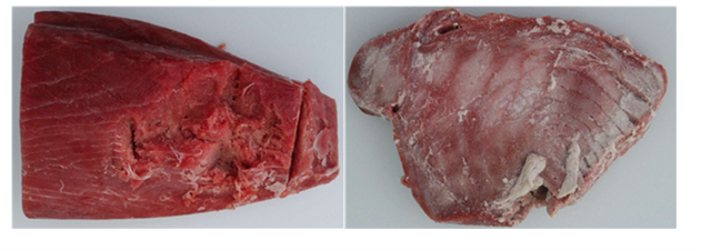 Das Bild zeigt ein rohes und ein gegartes Stück Thunfischfilet von untypischer roter Farbe